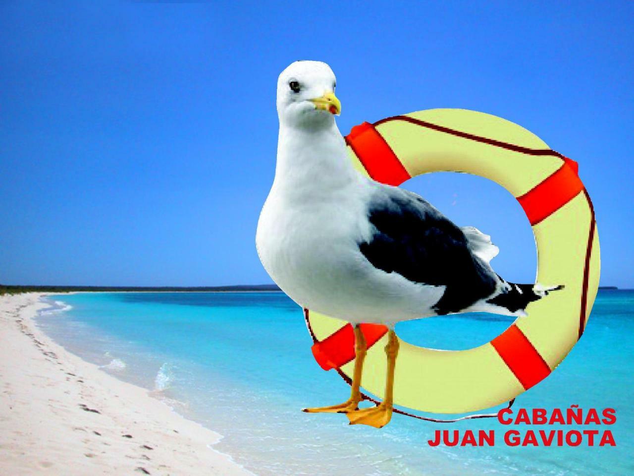 Cabanas Juan Gaviota プンタ・デ・チョロス エクステリア 写真